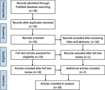 Xanthomatous Hypophysitis: A Case Report and Comprehensive Literature Review